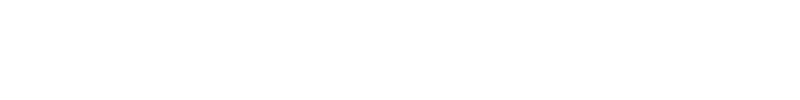 Horizontal Liquid Force Logo in white.
