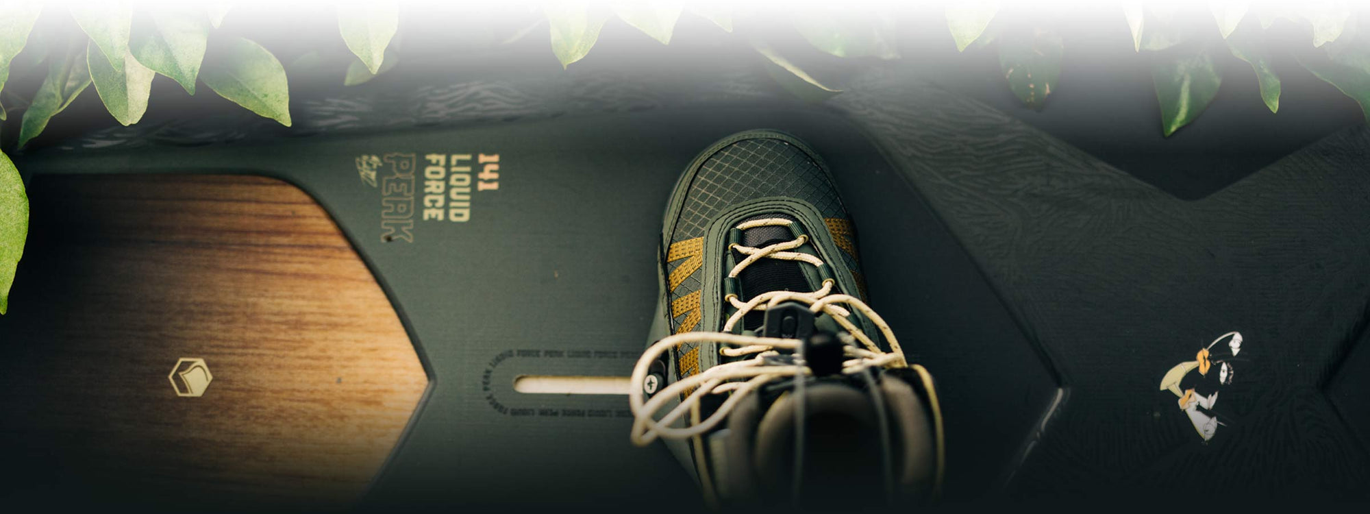 Hiking boot among leafy plants.